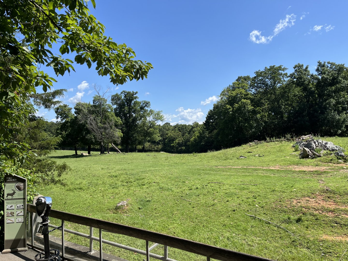 Prairie - Bison and Wapiti