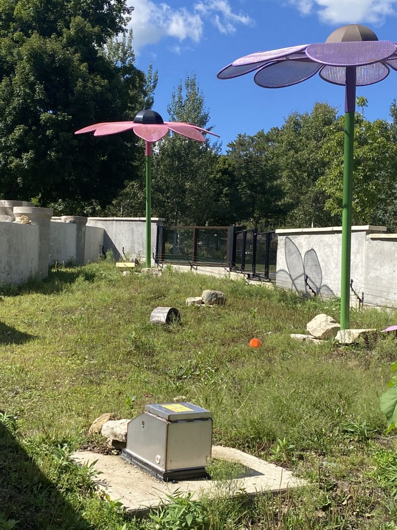 Prairie- Black tailed prairie dog exhibit