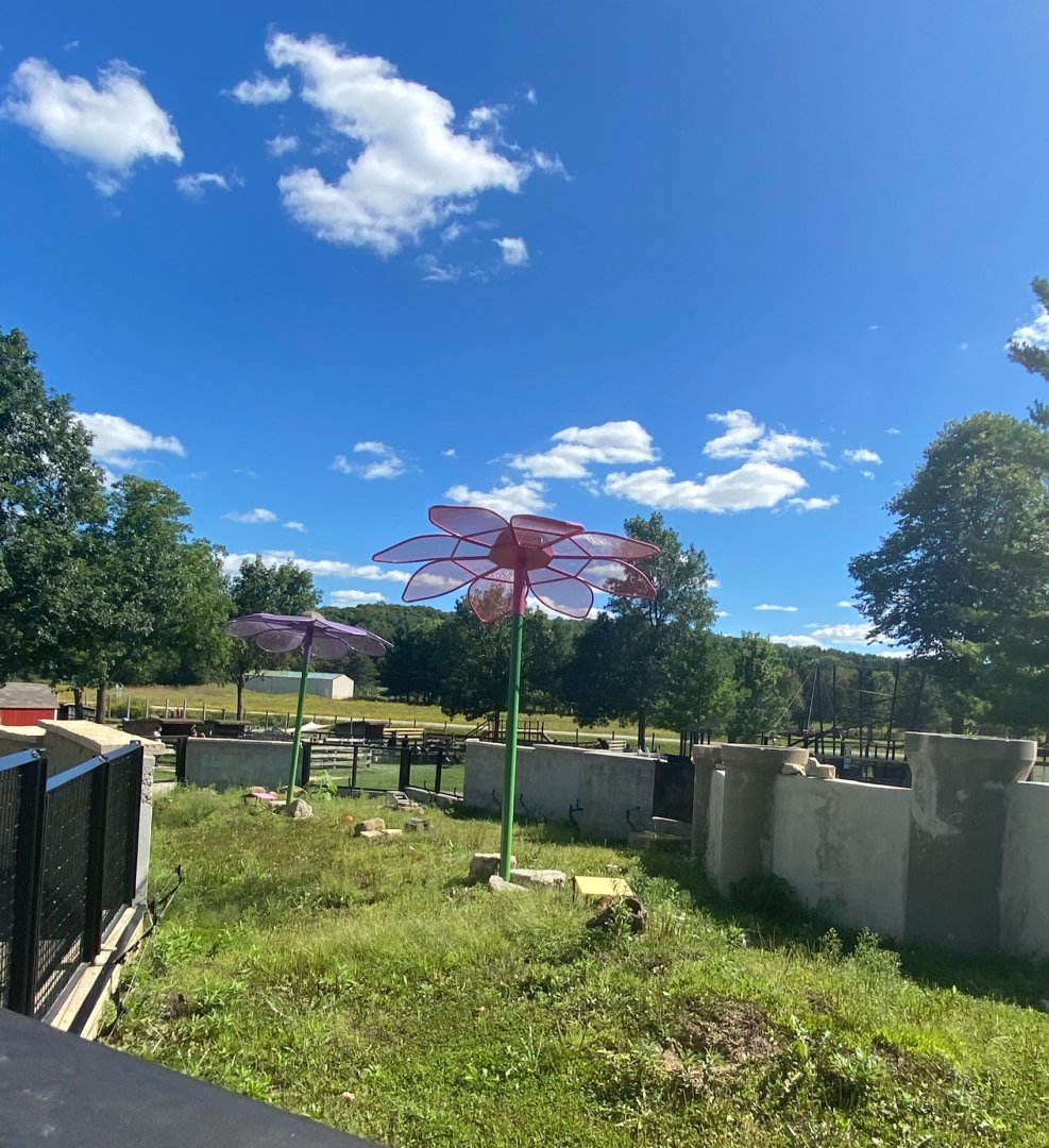Prairie- Black tailed prairie dog exhibit