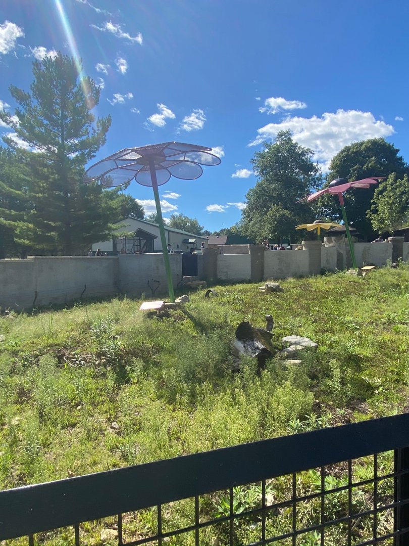 Prairie- black tailed prairie dog exhibit