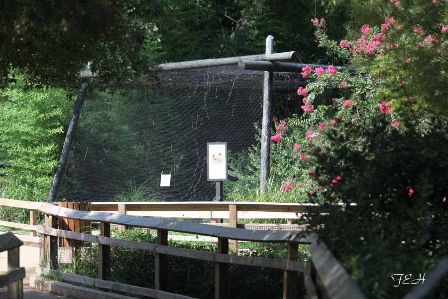 prairie chicken aviary
