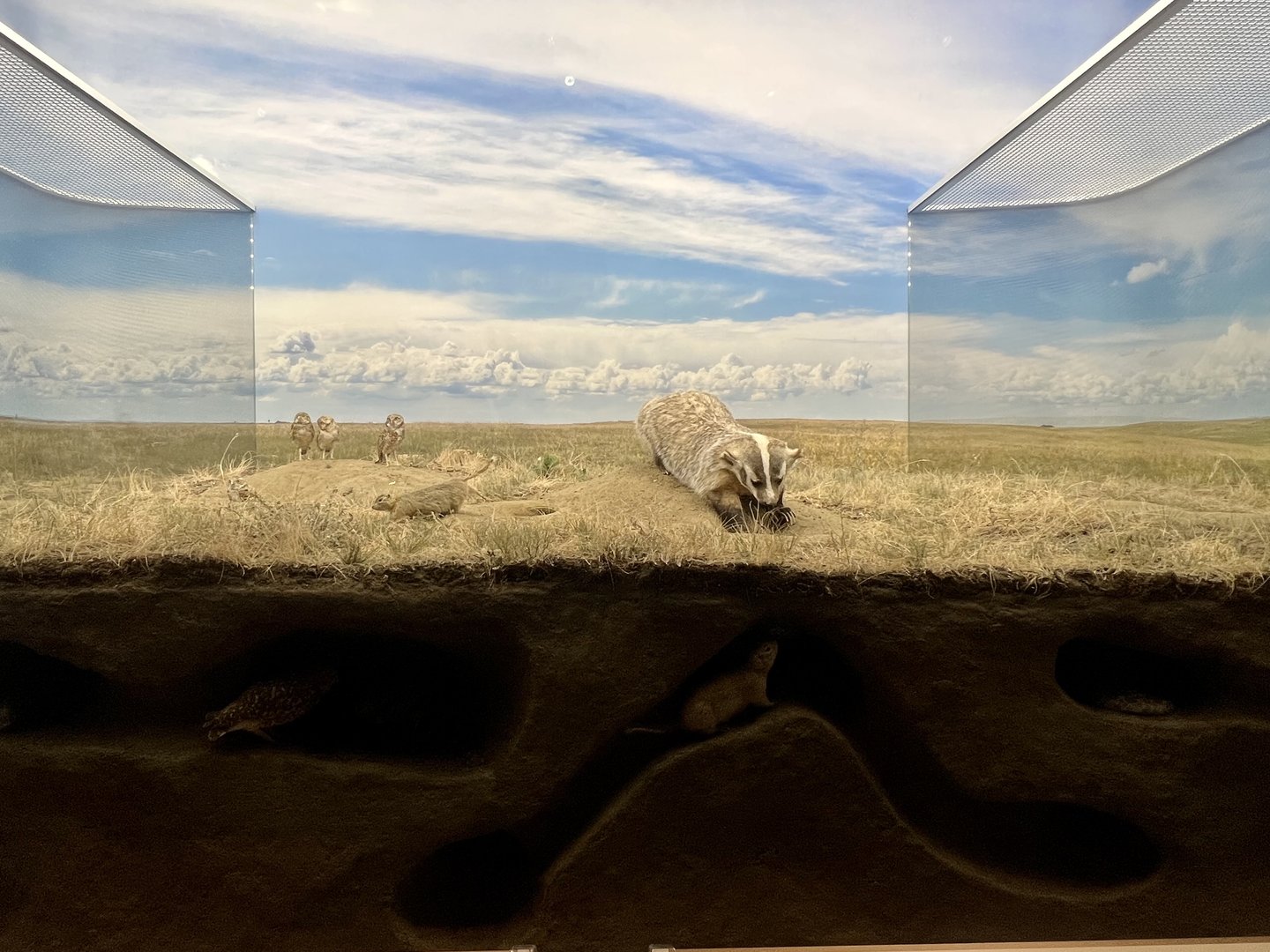 Prairie Diorama