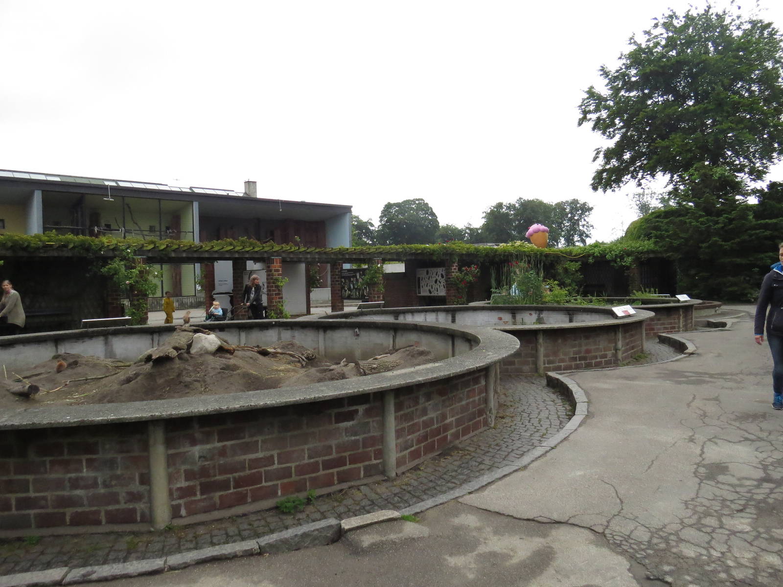 Prairie dog and native herp enclosures, June 2015.