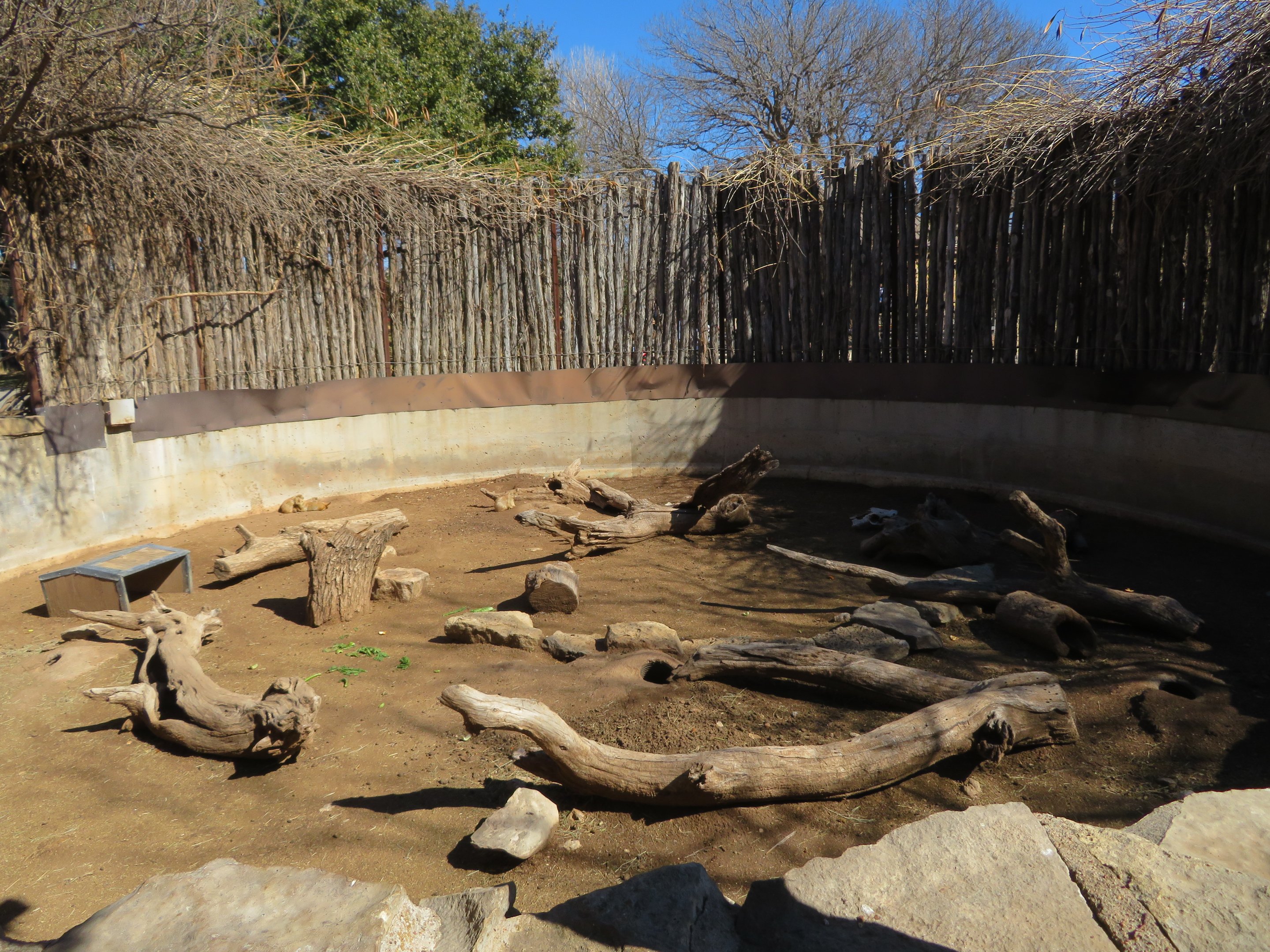Prairie Dog/Box Turtle Exhibit