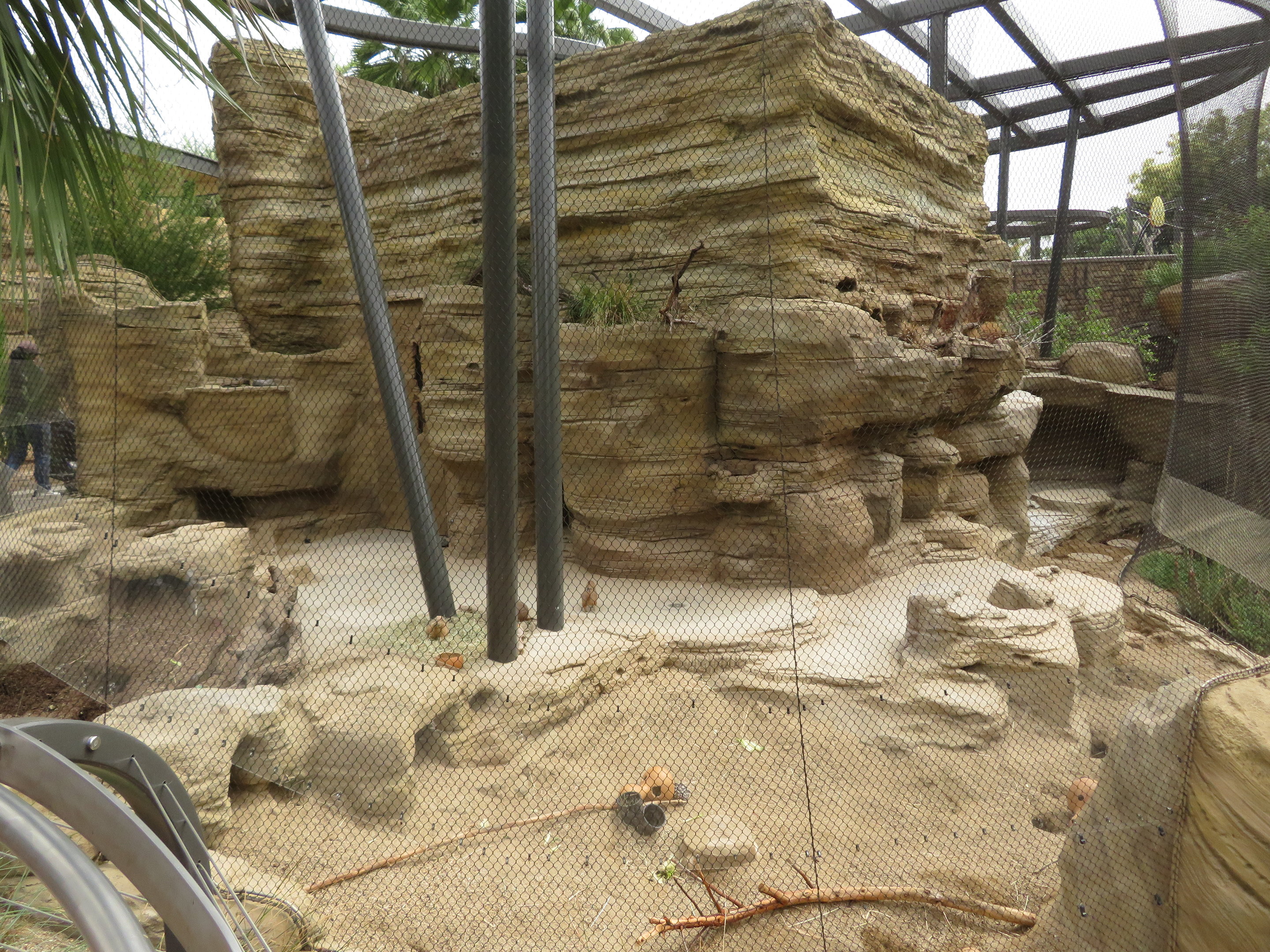 Prairie Dog/Burrowing Owl Exhibit