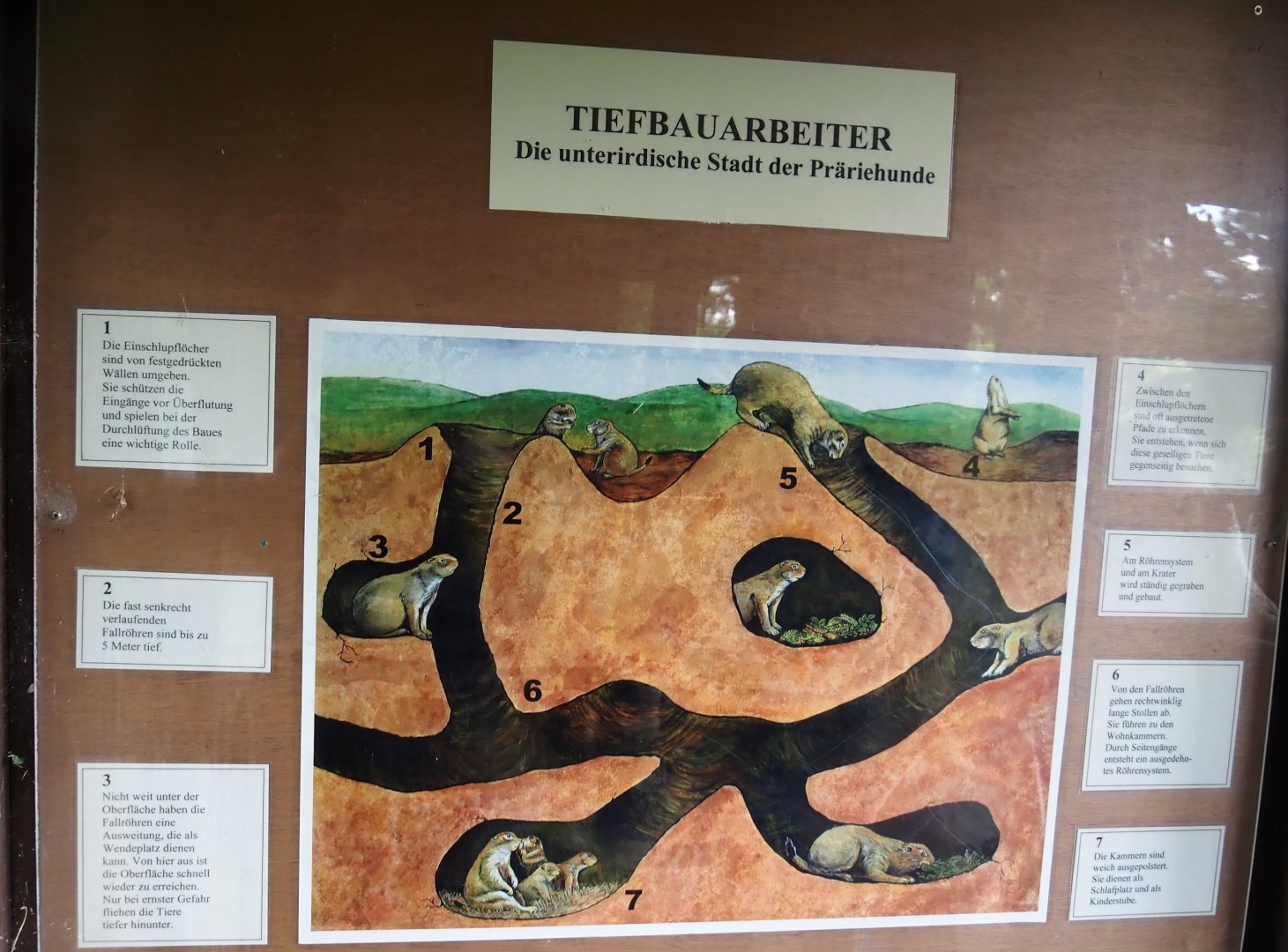 Prairie dog dens signage, 2025-05-22