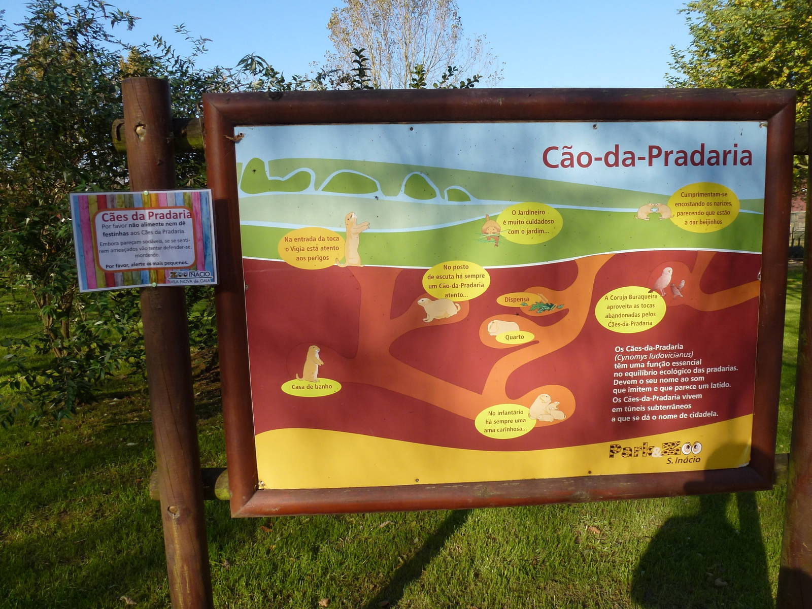 Prairie dog educational board, November 2013.