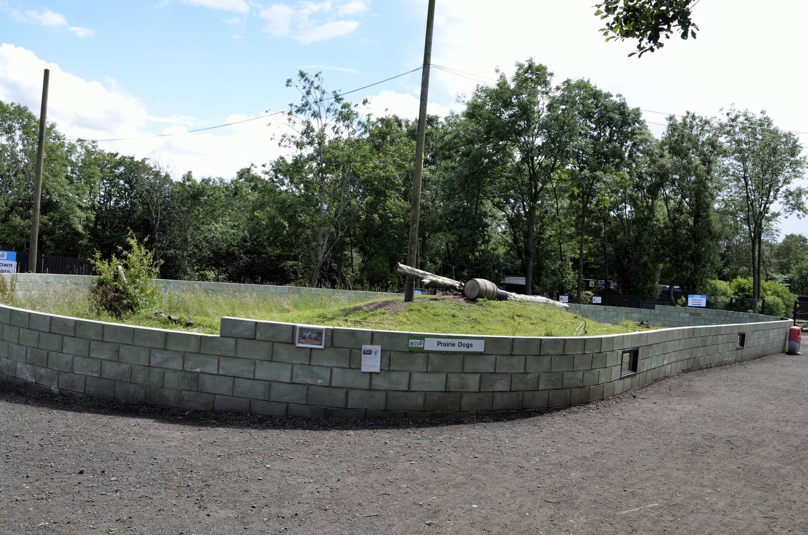 Prairie dog enclosure-06/07/2014
