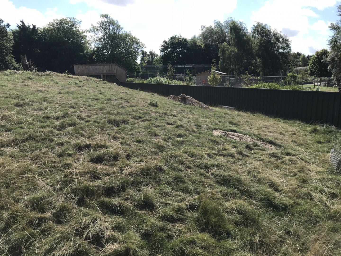 Prairie dog enclosure 100818