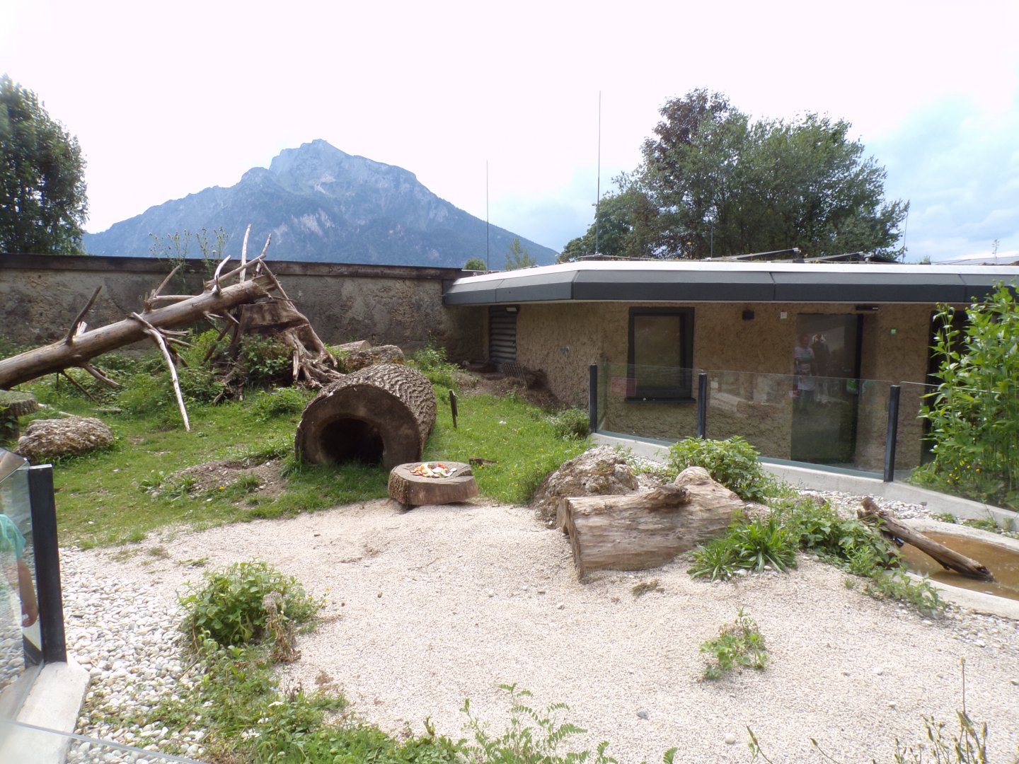 Prairie dog enclosure 13.7.25