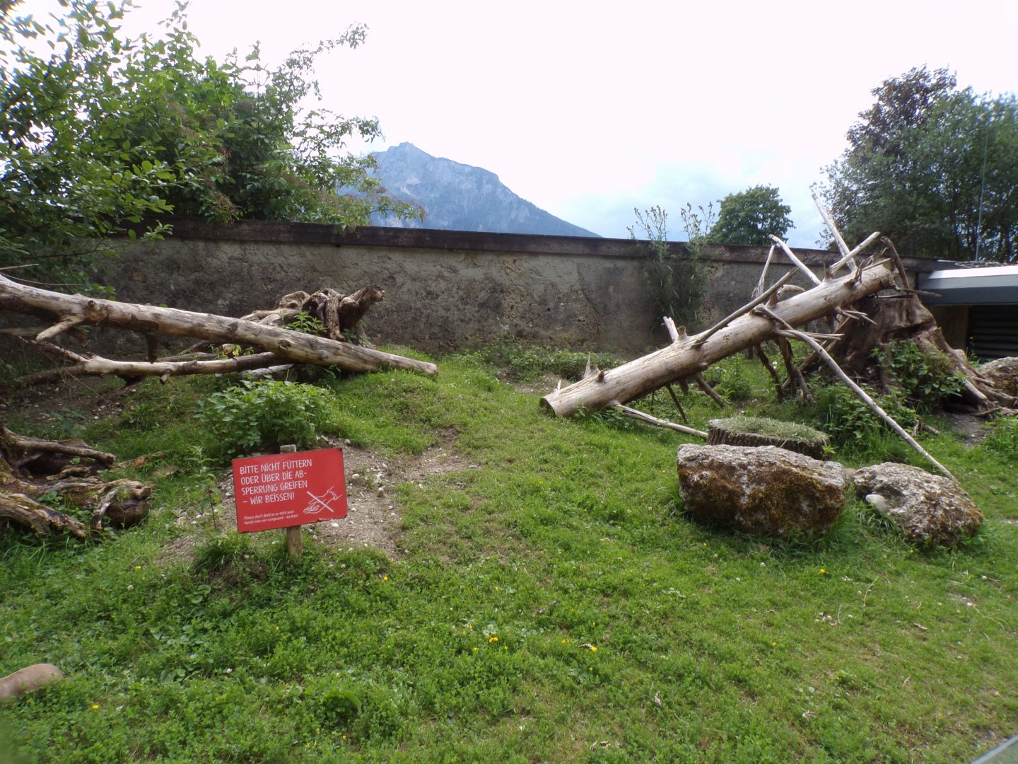 Prairie dog enclosure 13.7.25