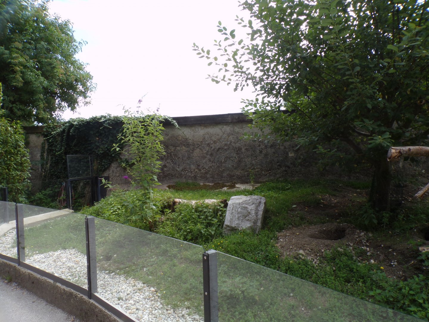 Prairie dog enclosure 13.7.25