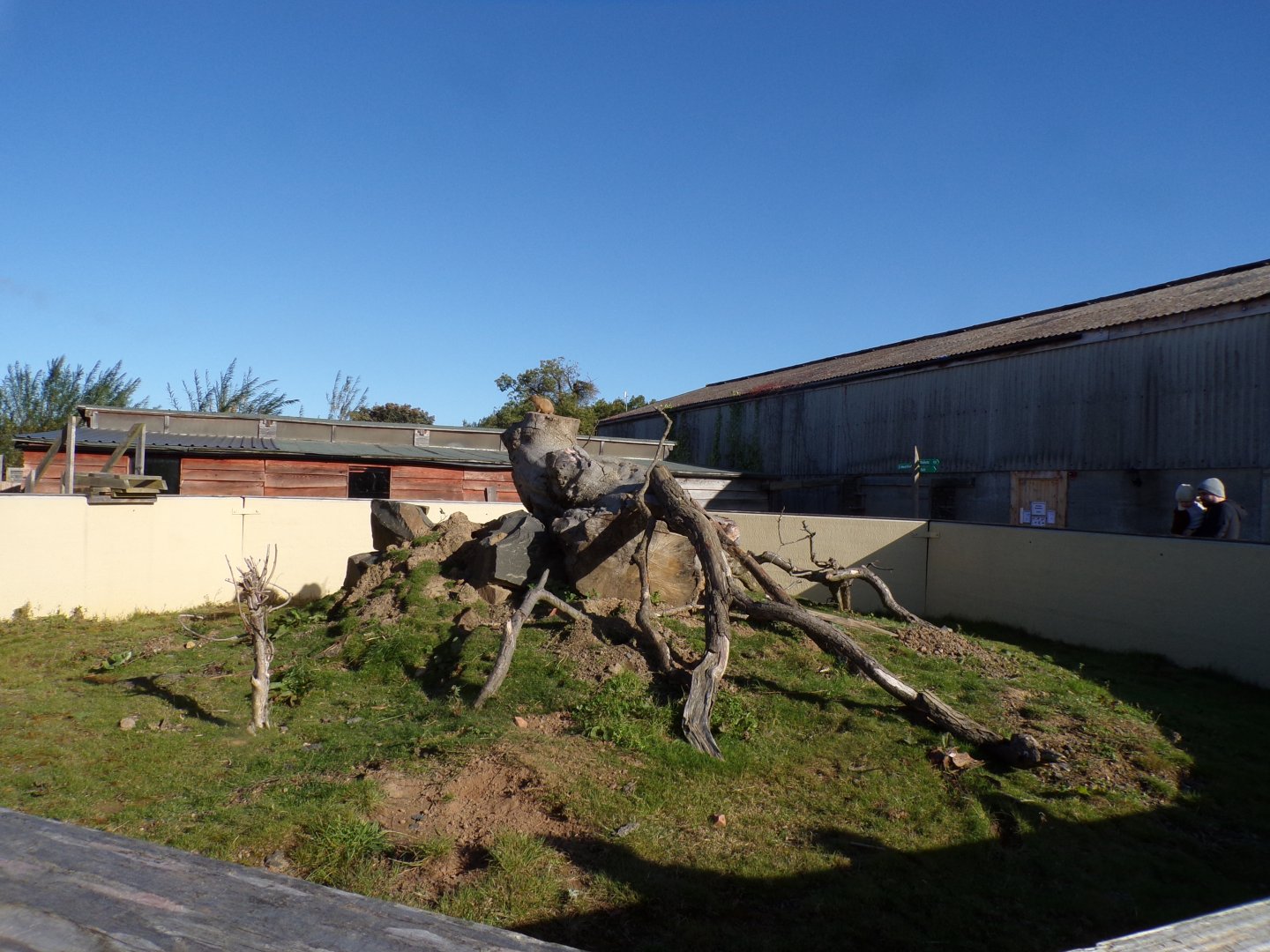 Prairie dog enclosure 14.10.23