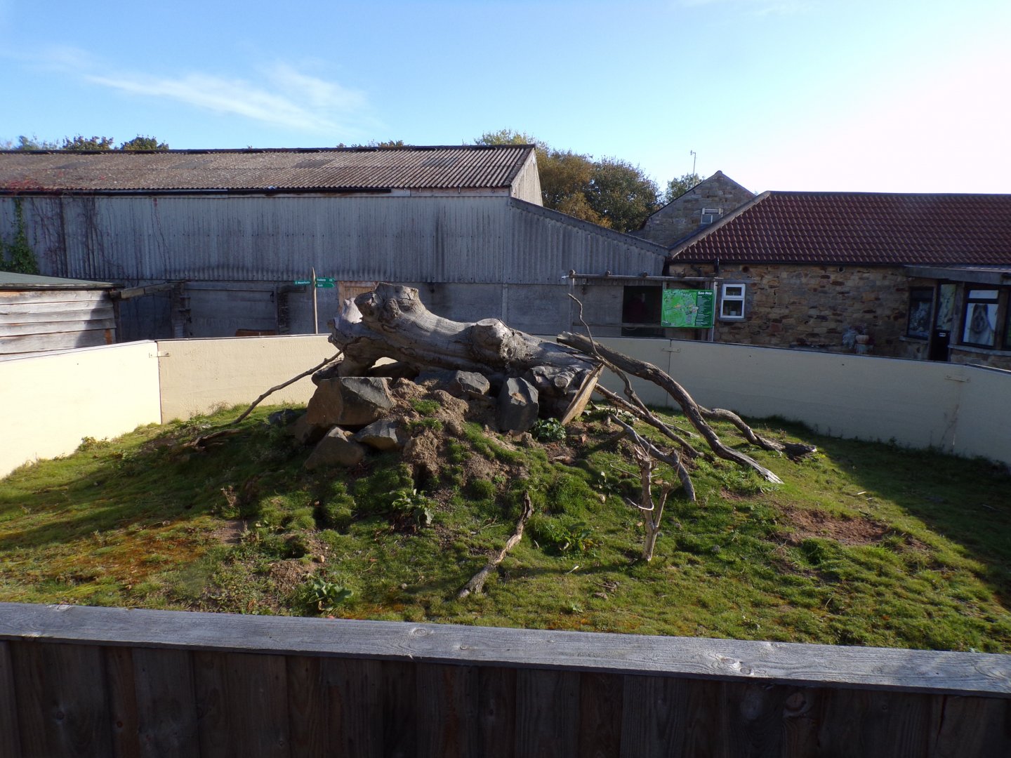 Prairie dog enclosure 14.10.23