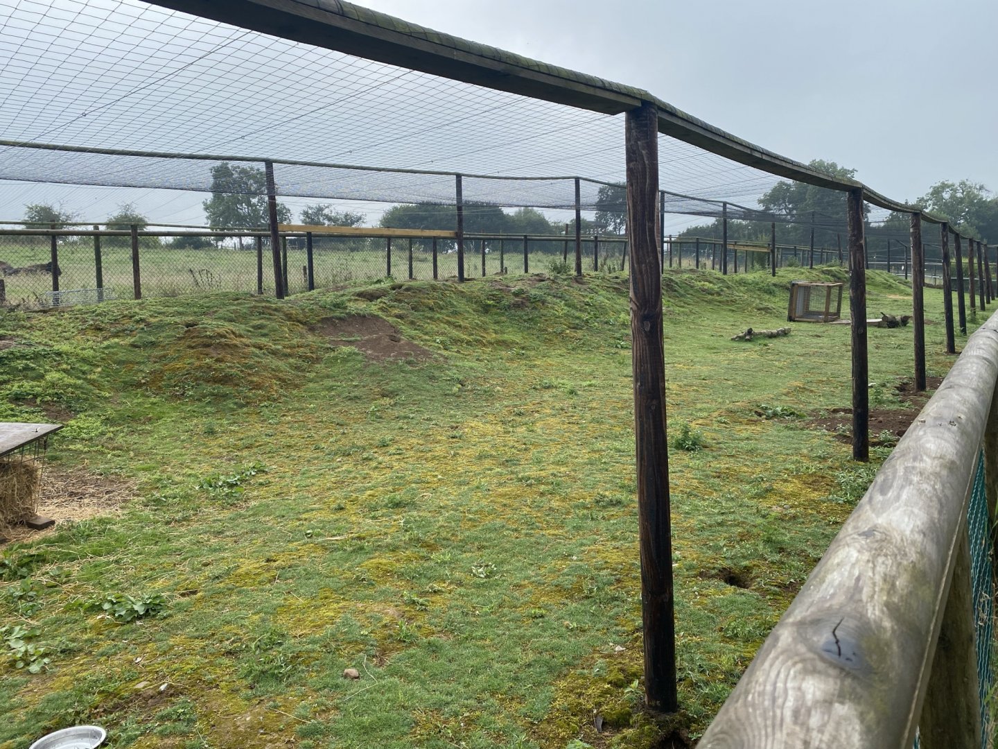 Prairie dog enclosure 240721