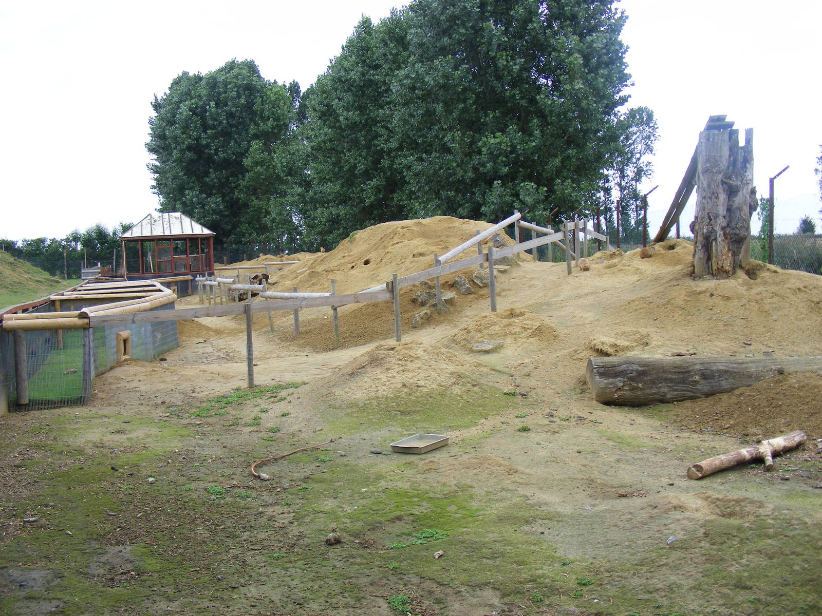 Prairie dog enclosure at Wingham Wildlife Park, 15 August 2010