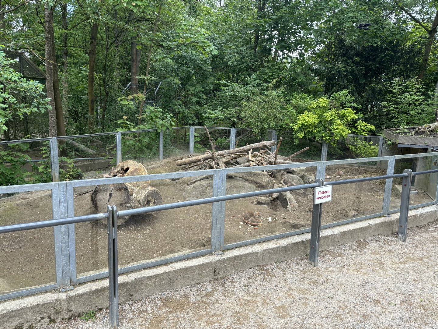 Prairie Dog Enclosure at Zoologischer Garten Hof