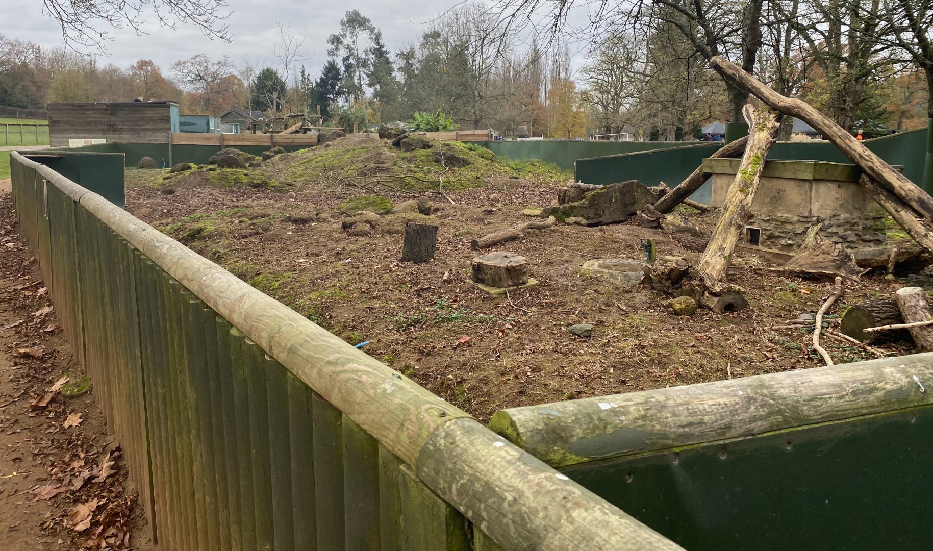 Prairie dog enclosure, Beale Park, UK