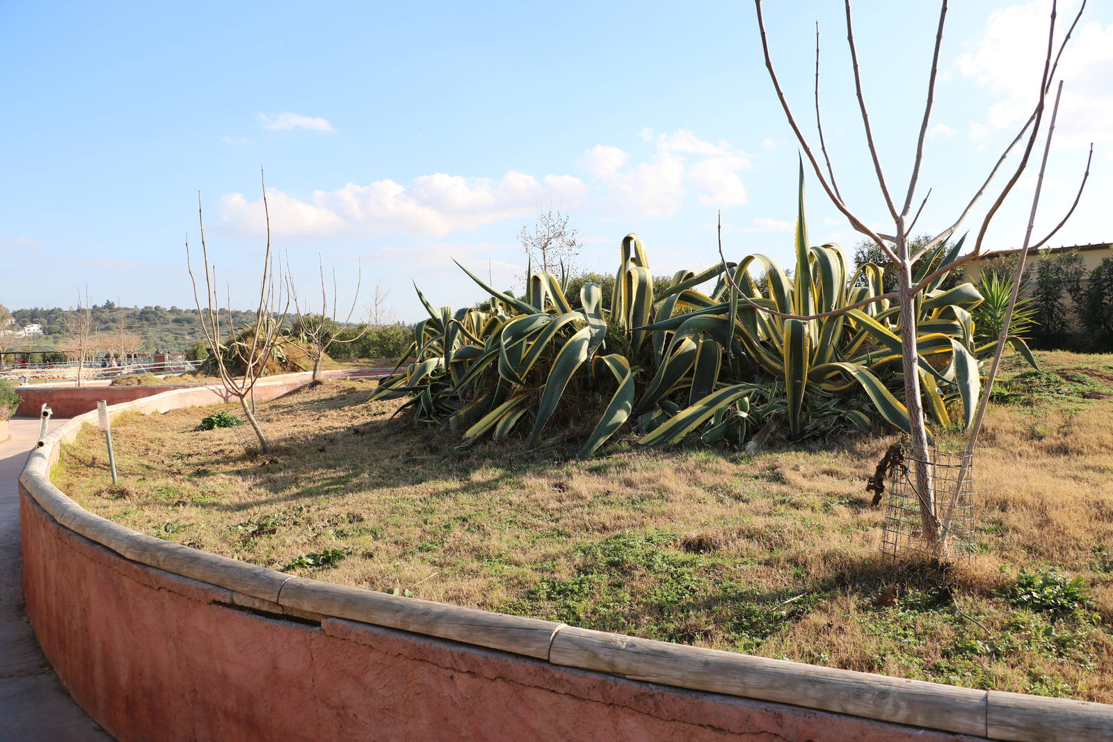 Prairie dog enclosure, February 2016