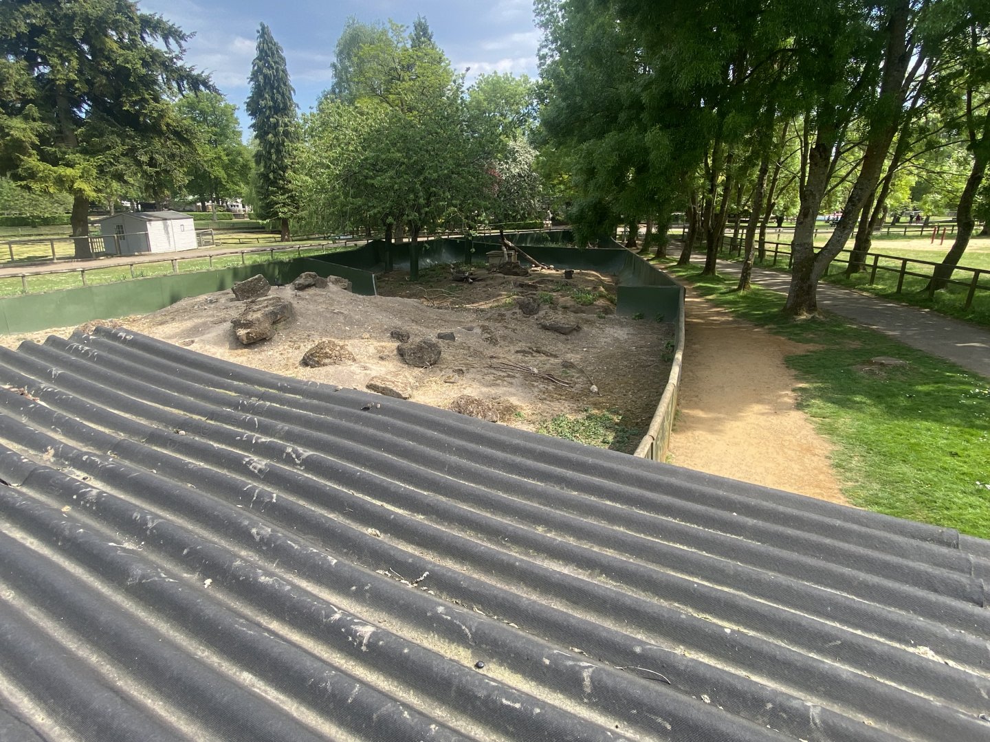 Prairie dog enclosure from walkway 090525