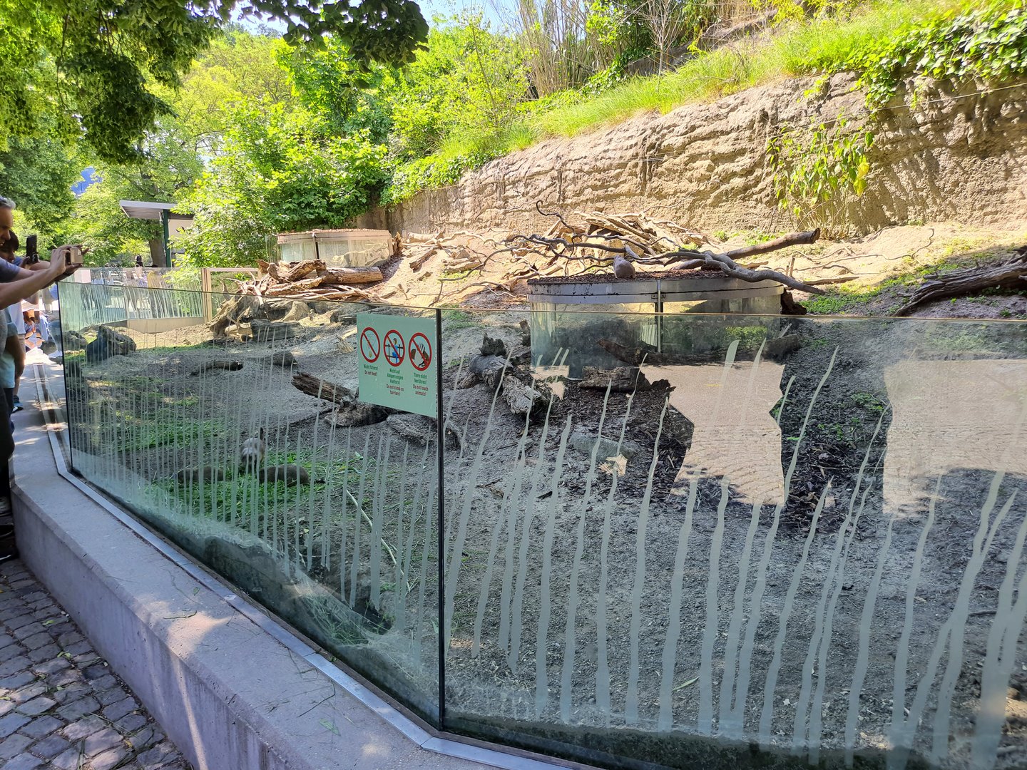 Prairie dog enclosure- Tiergarten Schönbrunn