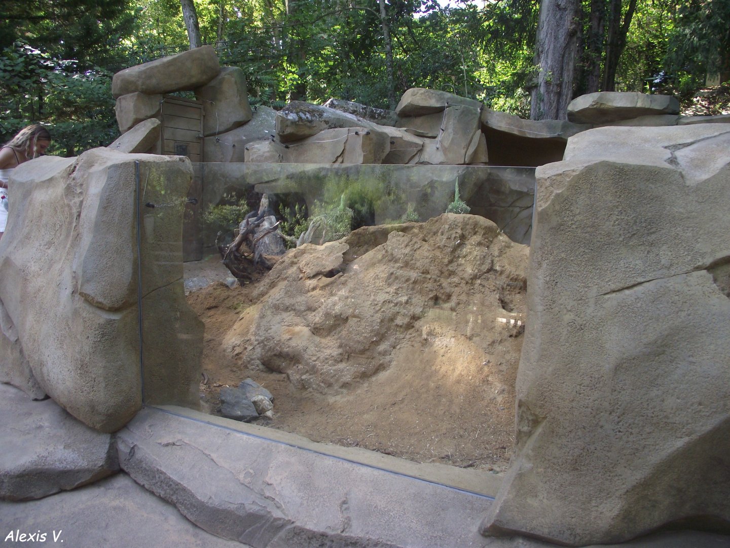 Prairie Dog enclosure - Zooparc de Beauval, 09/08/2025