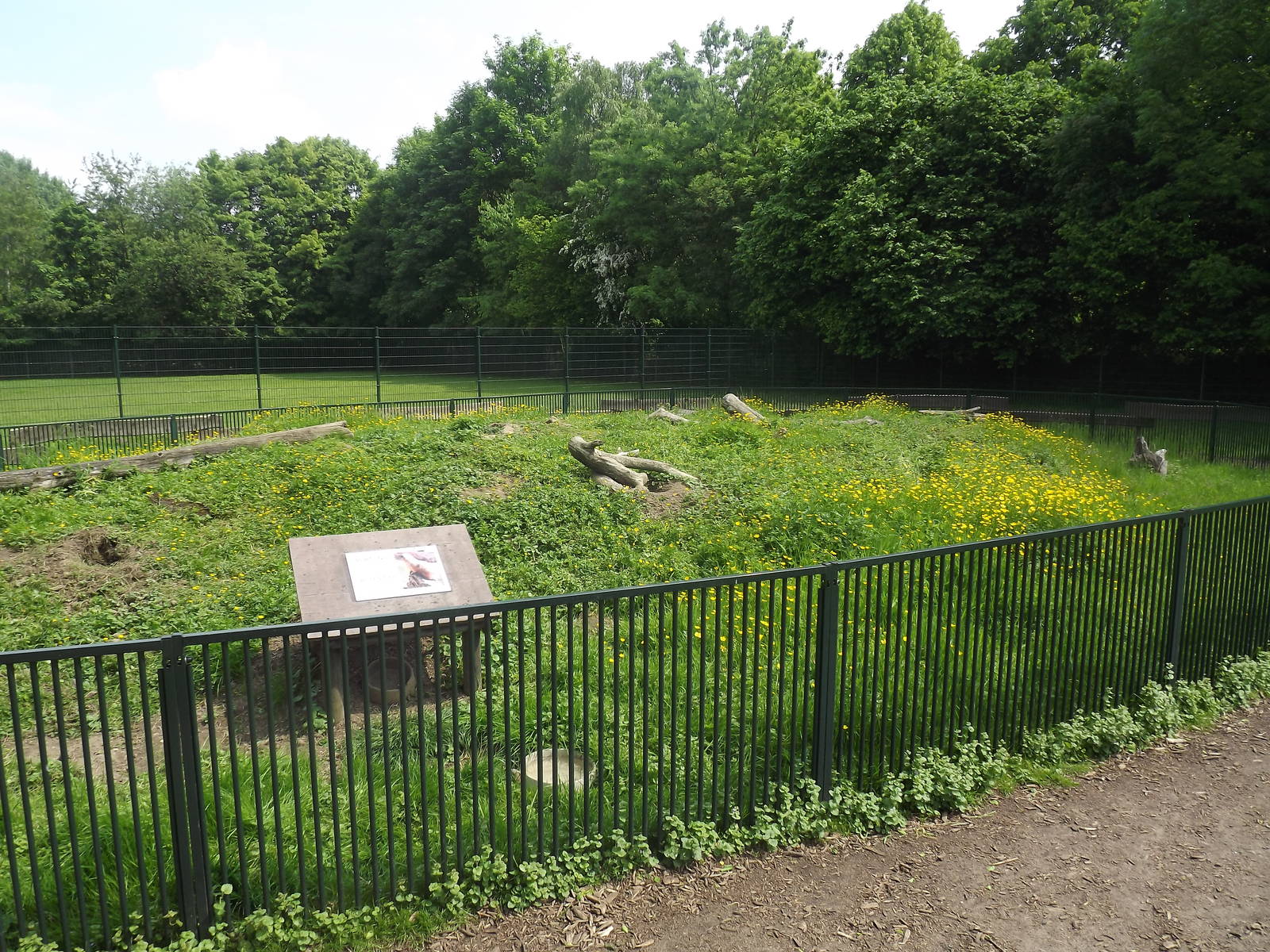 Prairie dog enclosure