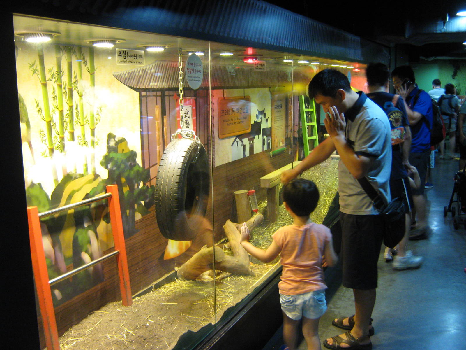 prairie dog enclosure