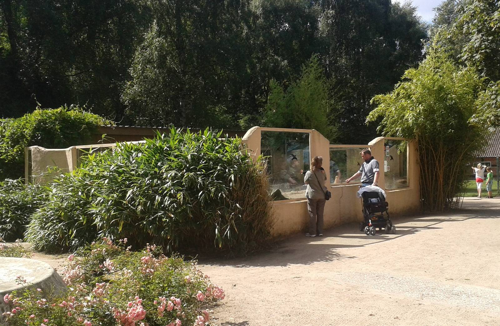 Prairie dog enclosure