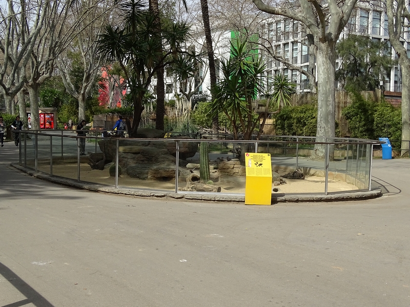 Prairie dog enclosure