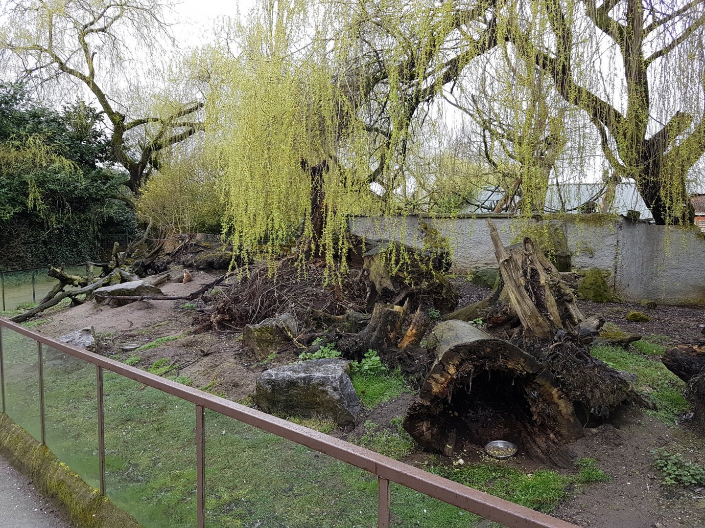 Prairie dog enclosure