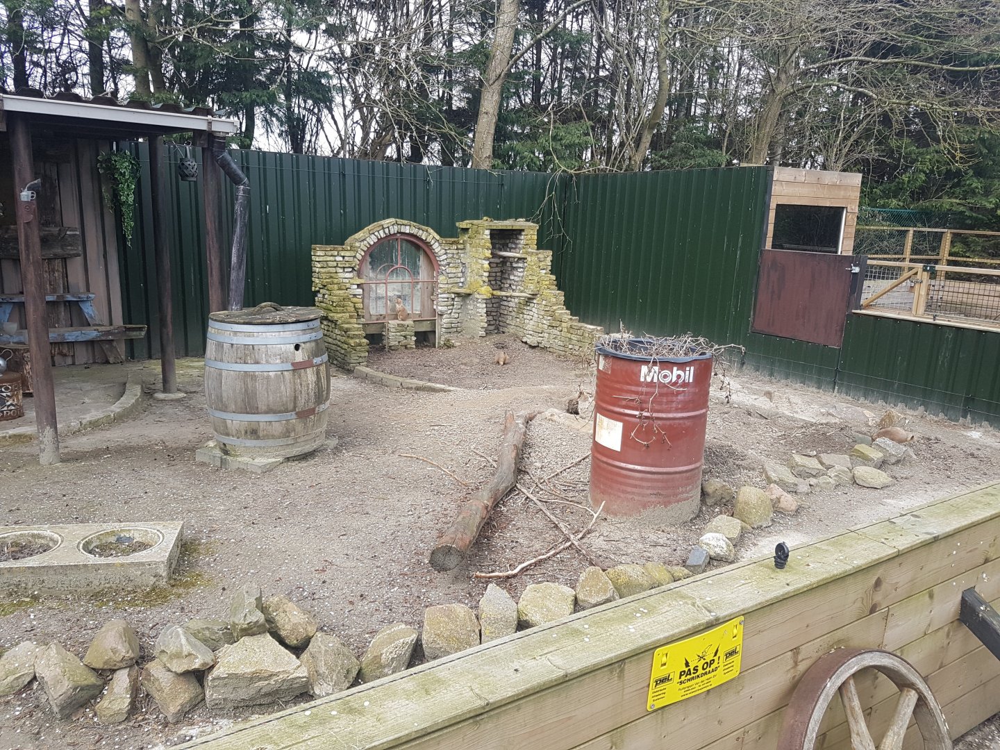 Prairie-dog enclosure