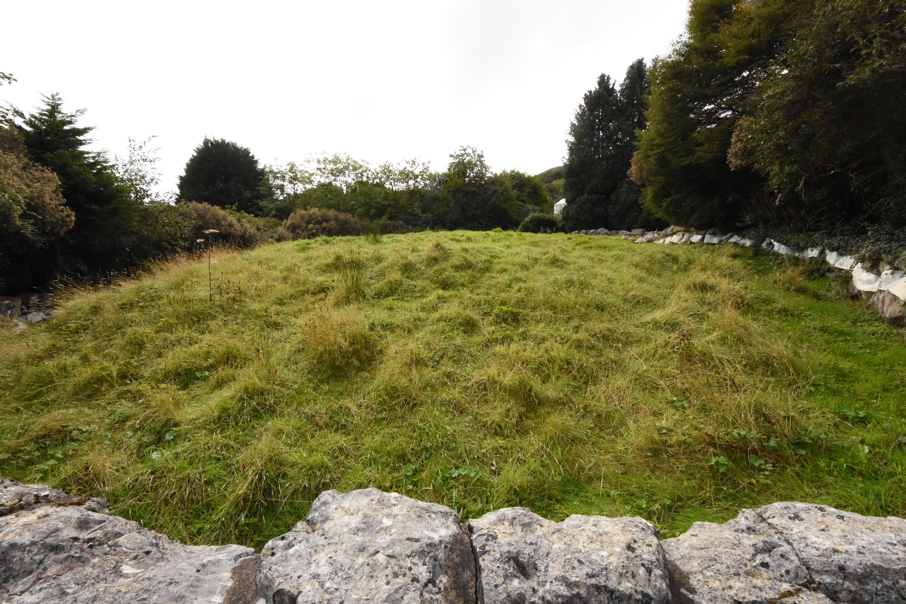 Prairie dog enclosure