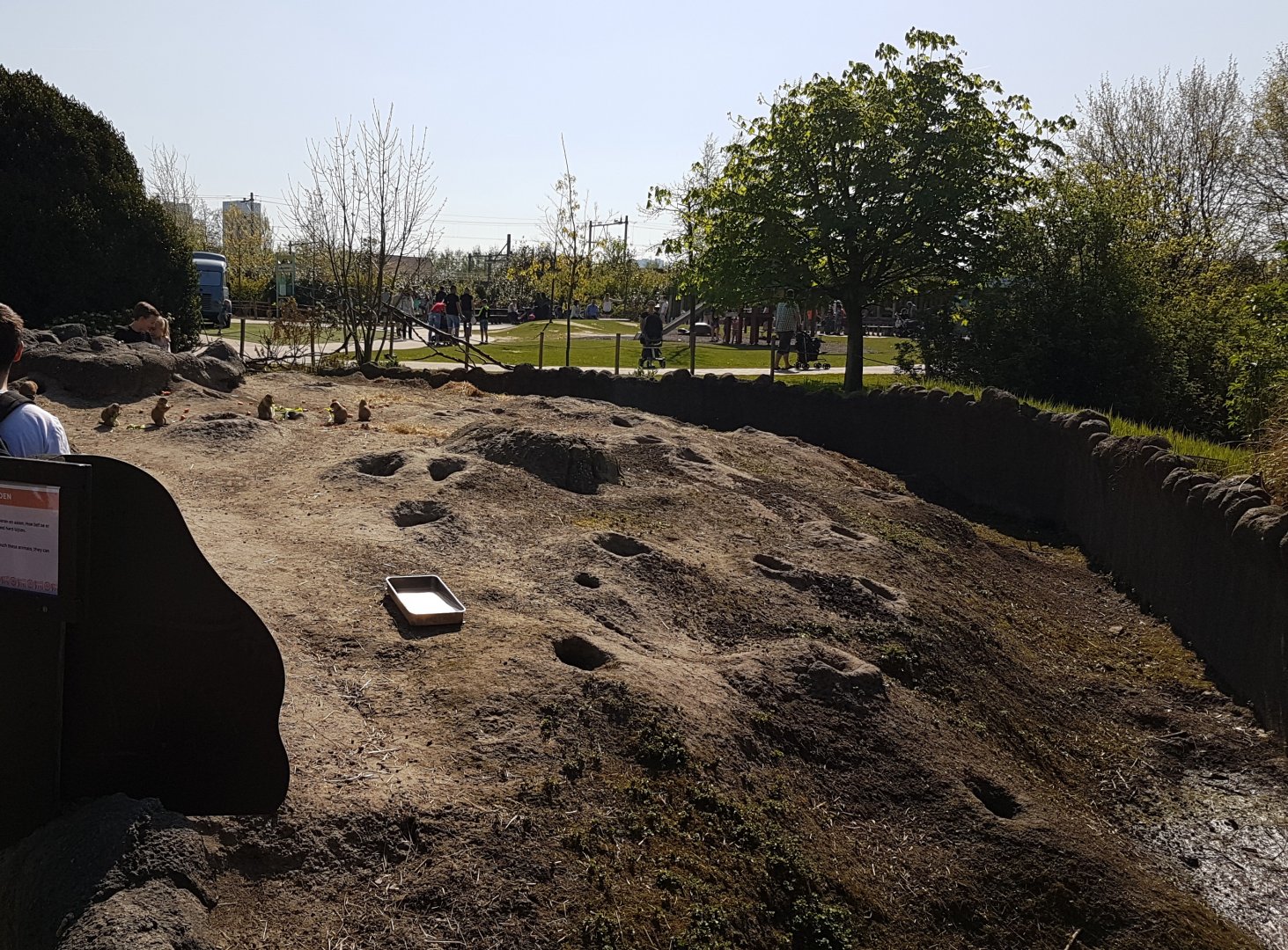 Prairie dog enclosure