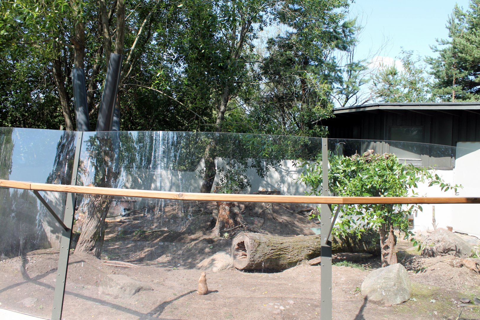 Prairie Dog Enclosure