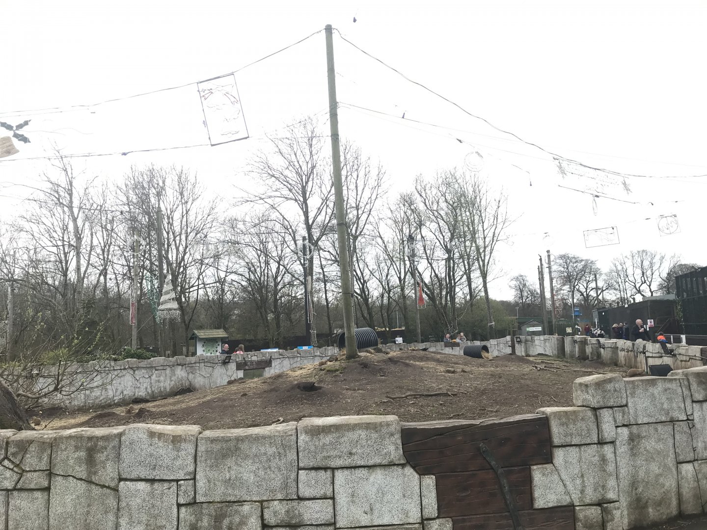 Prairie dog enclosure