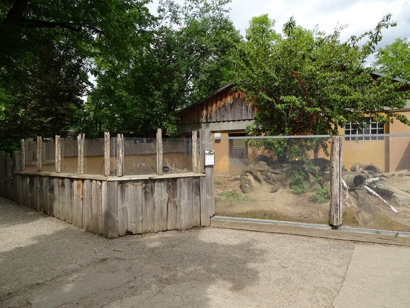 Prairie dog enclosure
