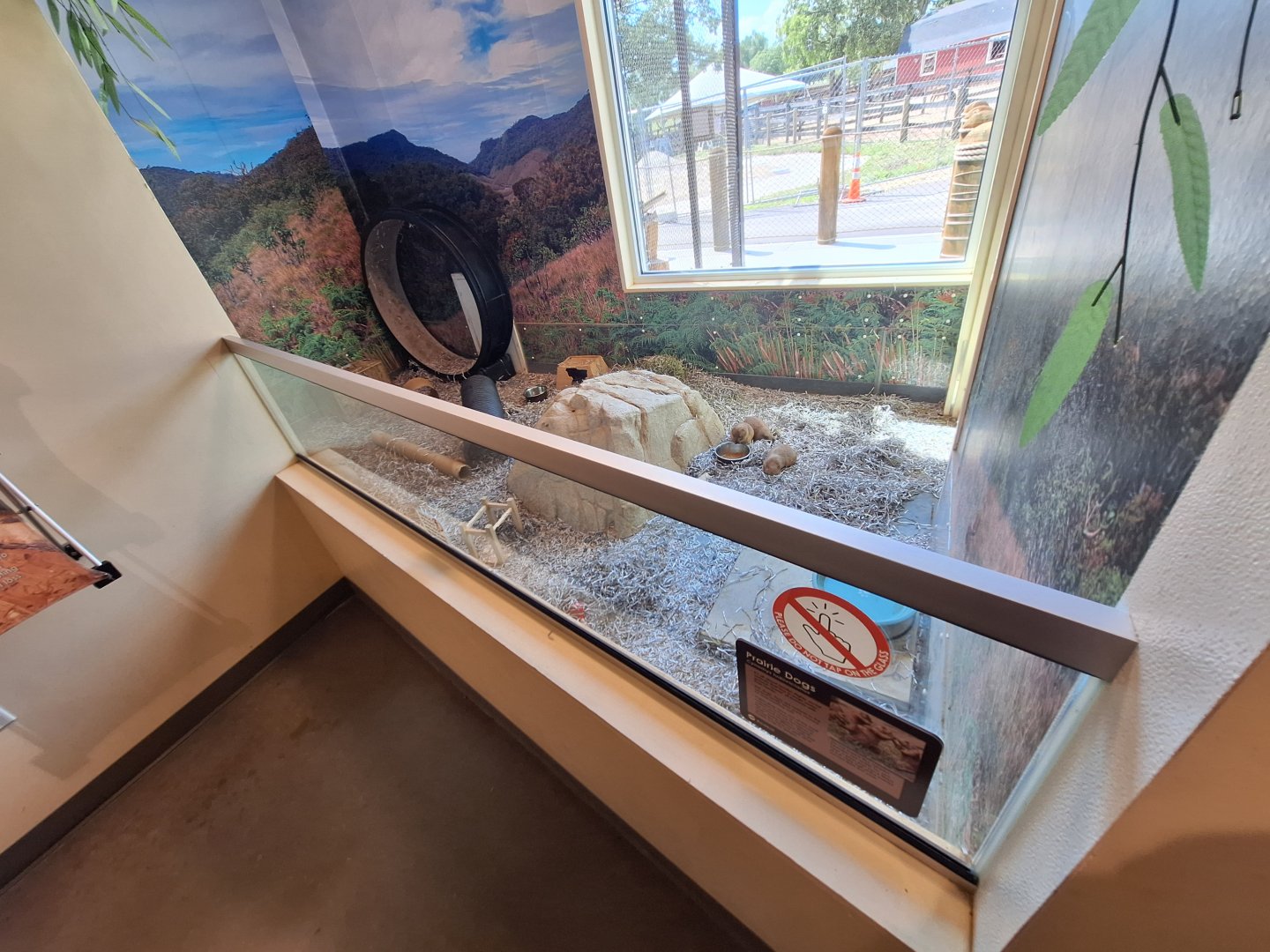 Prairie Dog Enclosure