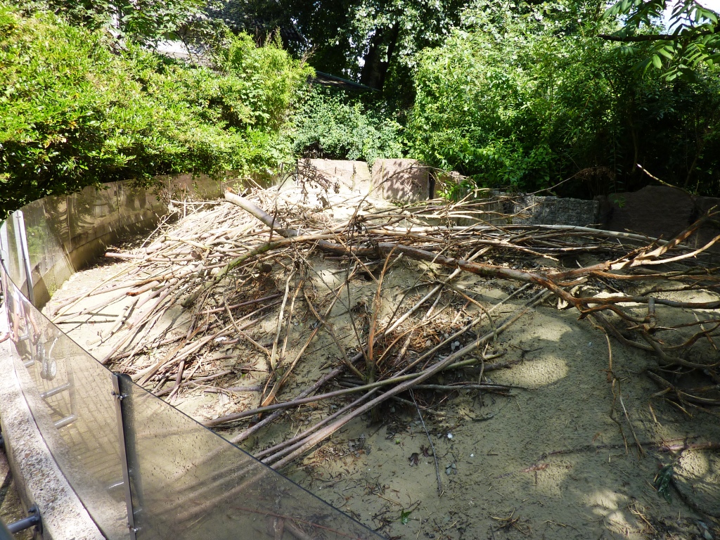Prairie dog exhibit Artis August 2010