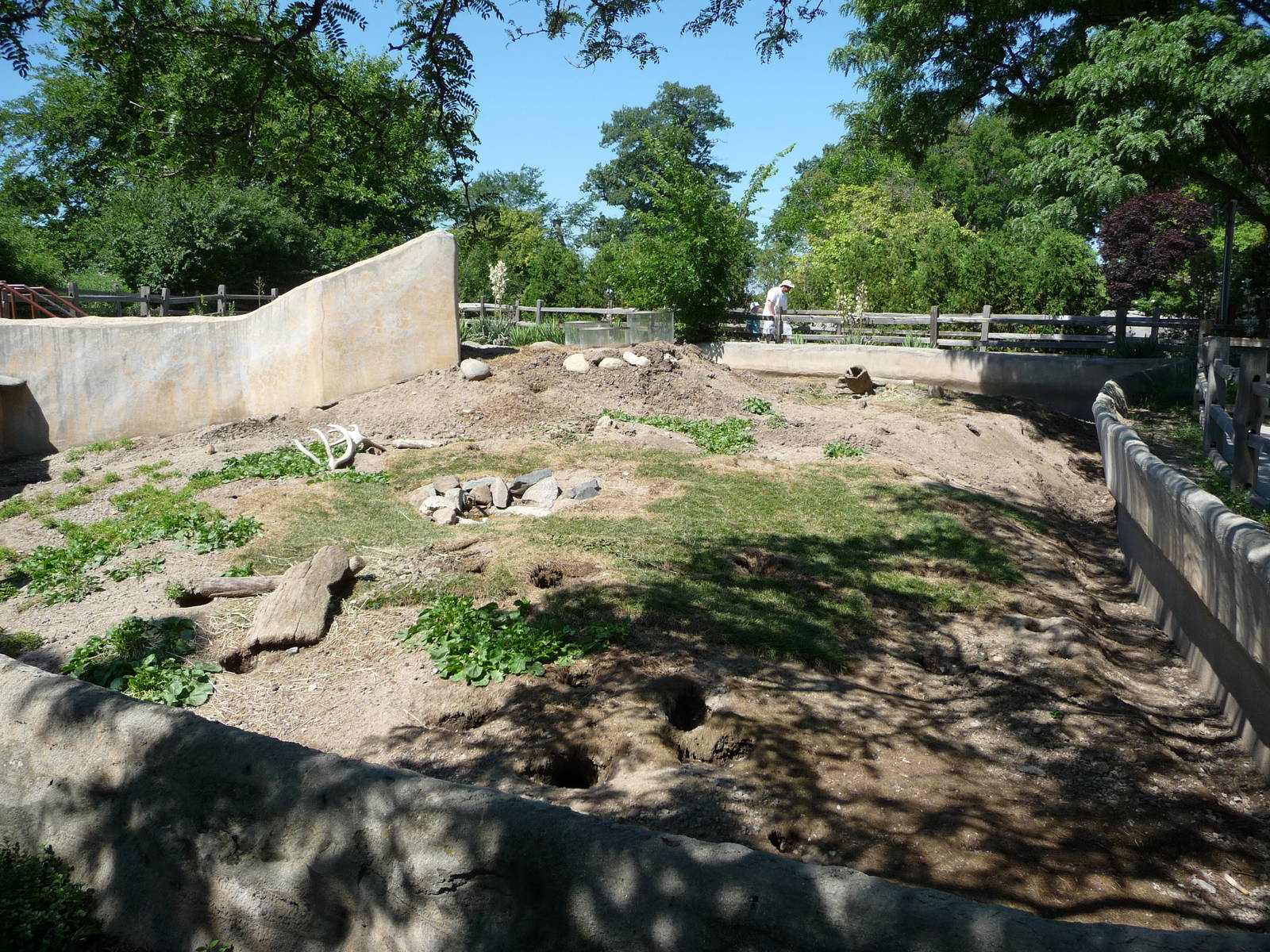 Prairie Dog Exhibit - Detroit Zoo