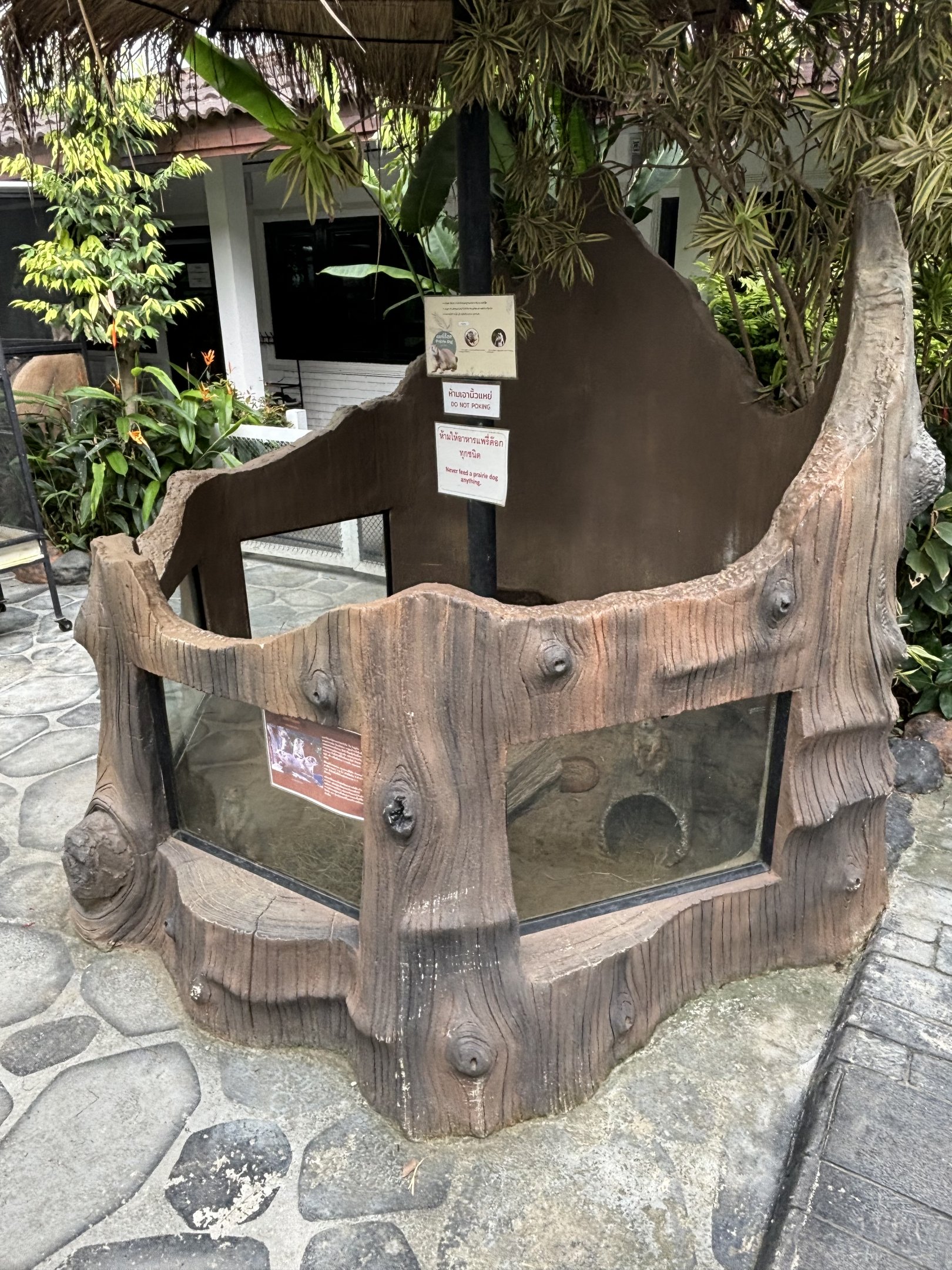 Prairie Dog Exhibit - Lanna Mini Zoo