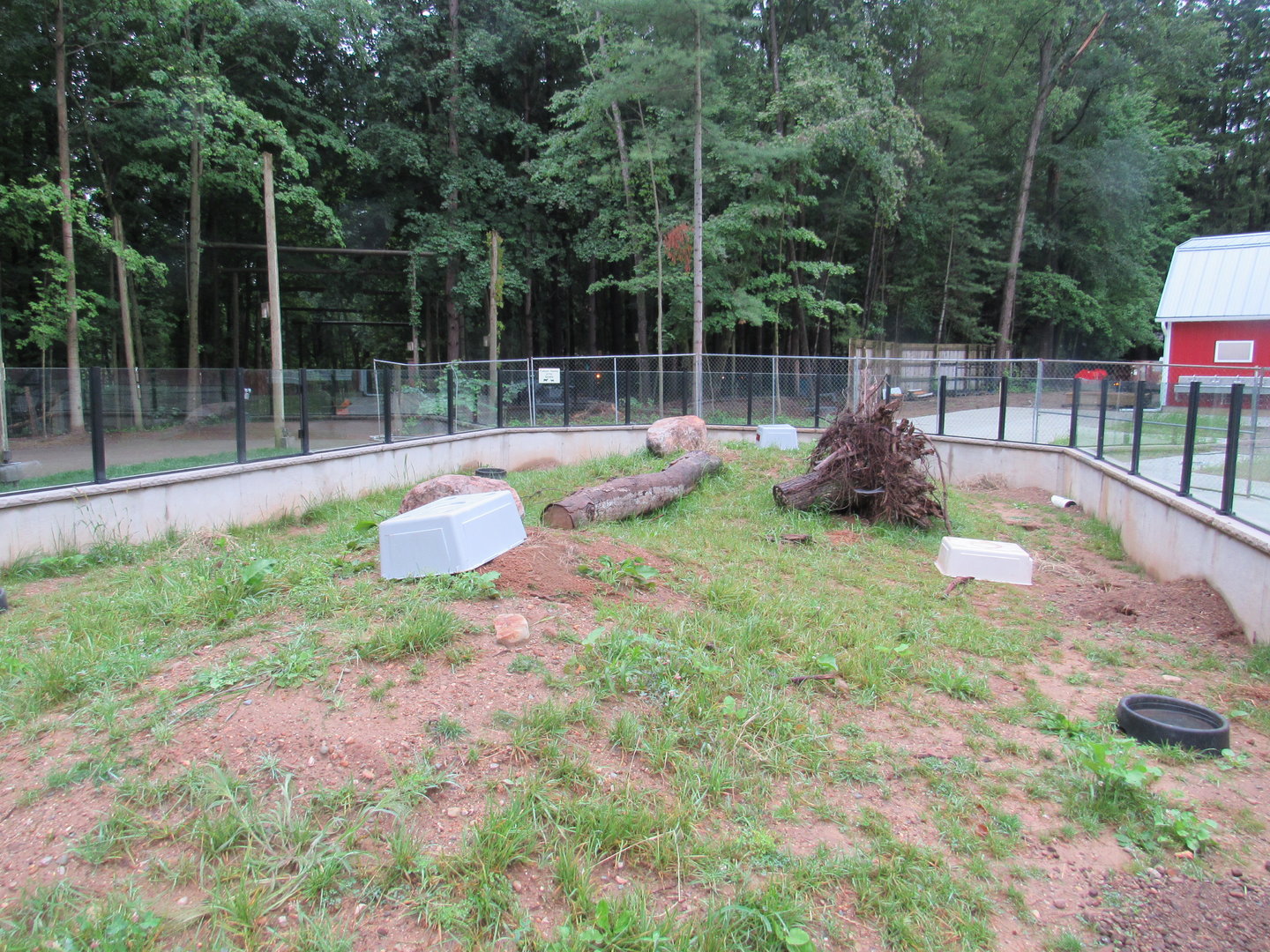 Prairie Dog Exhibit (New in 2023)