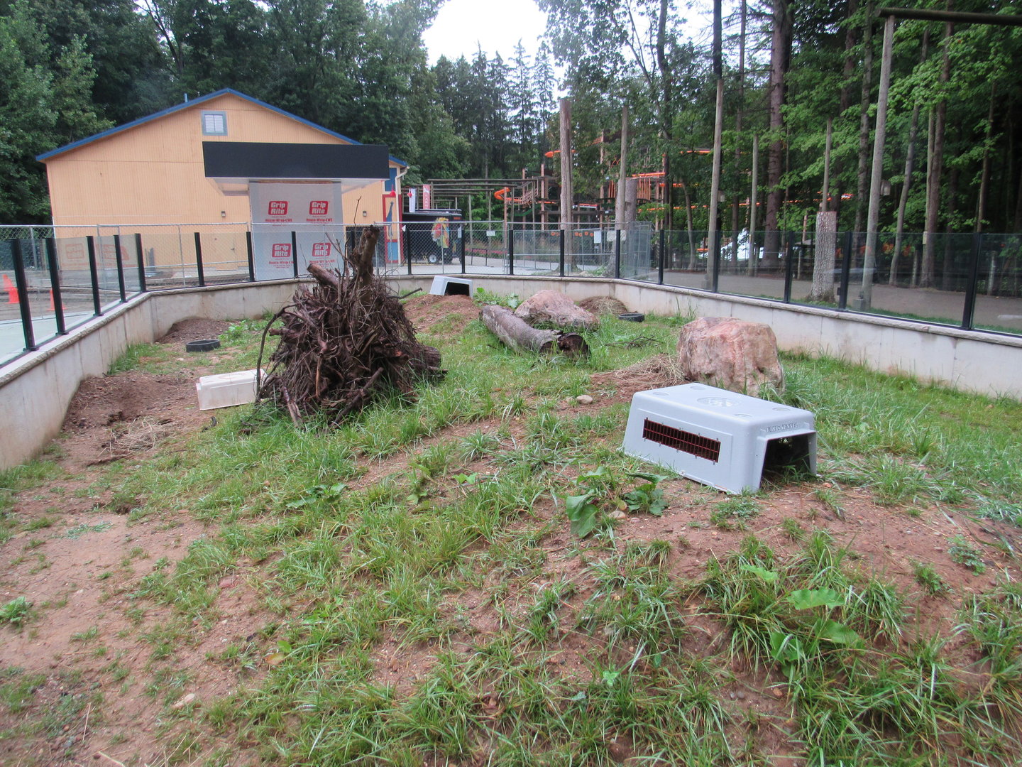 Prairie Dog Exhibit (New in 2023)