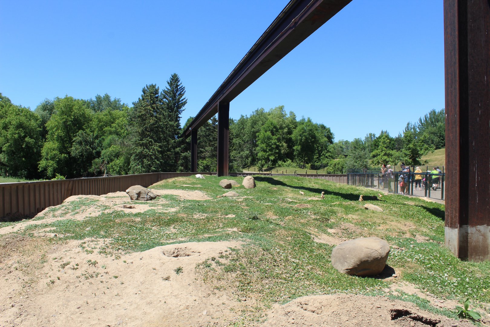Prairie Dog Exhibit - Northern Trail