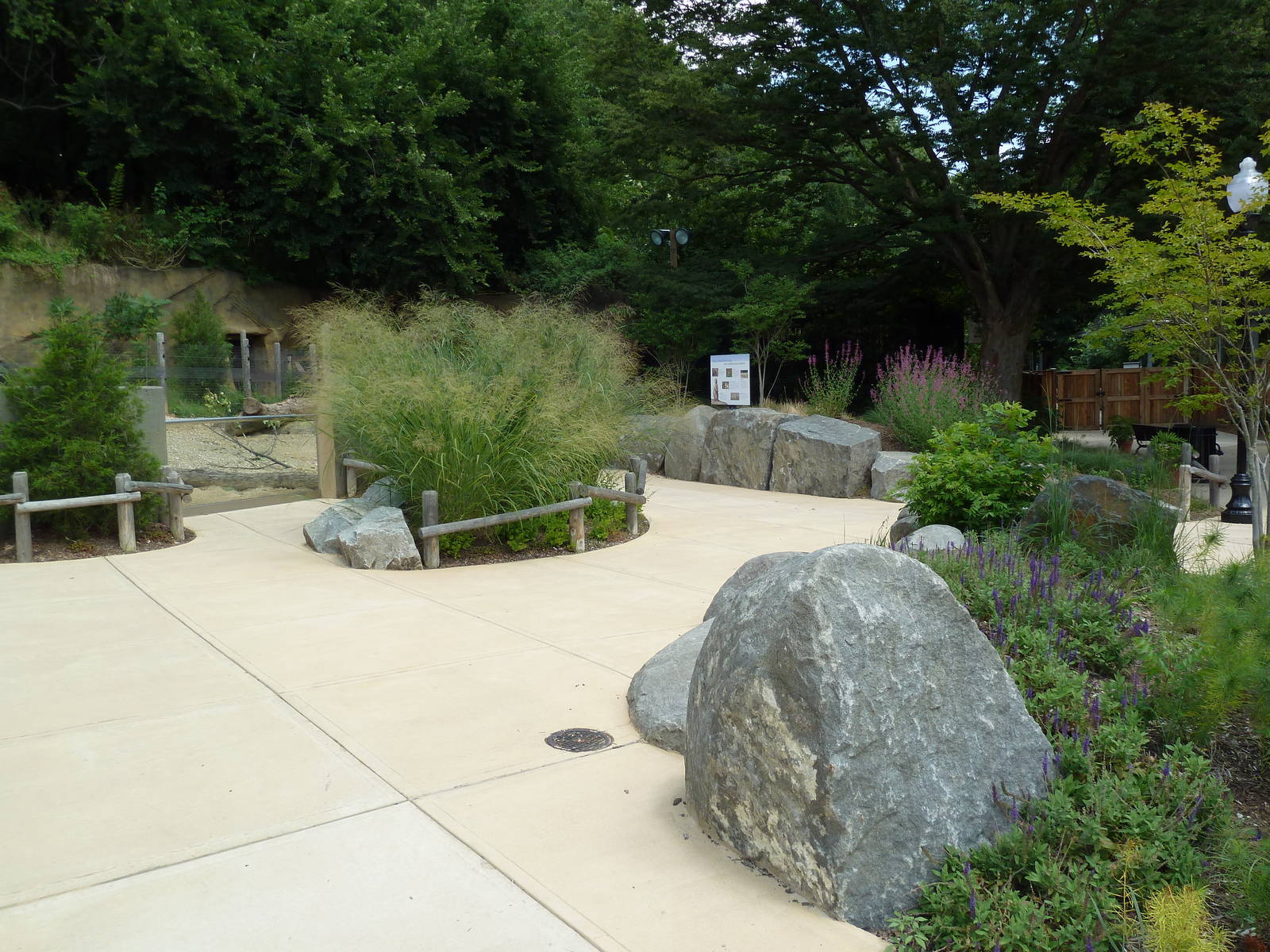 Prairie Dog Exhibit - Plaza