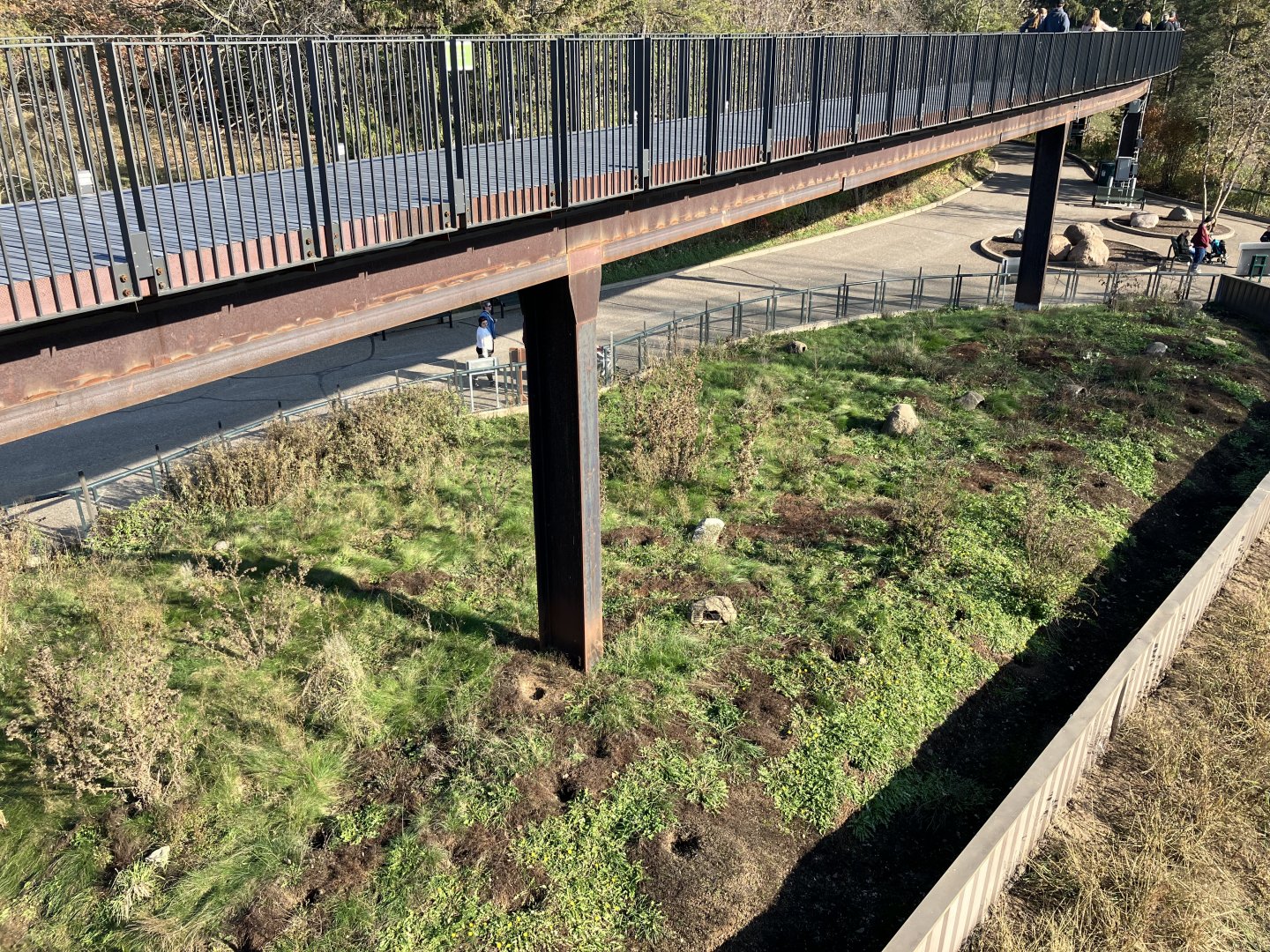 Prairie Dog Exhibit + Treetop Trail
