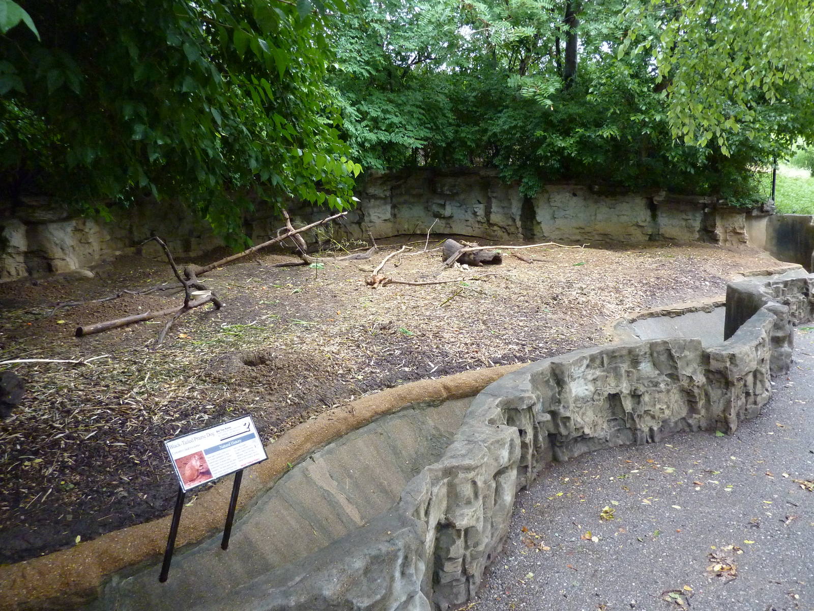 Prairie Dog Exhibit