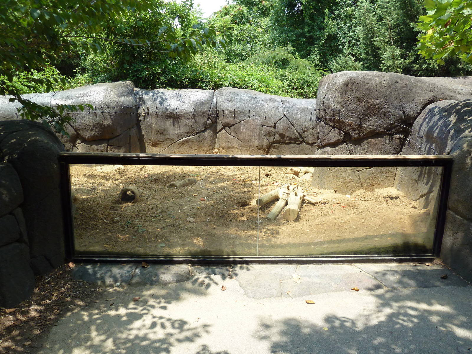 Prairie Dog Exhibit