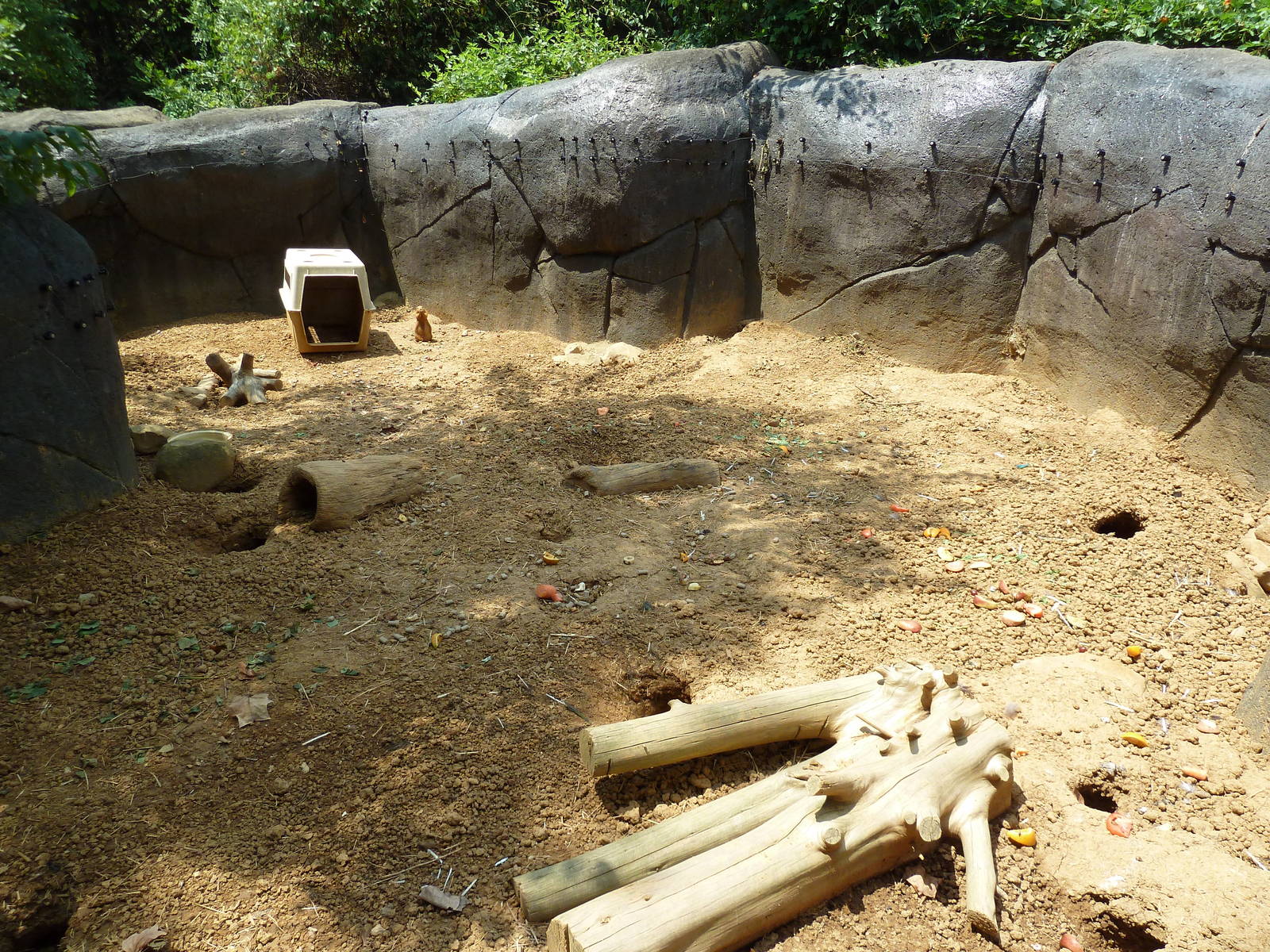 Prairie Dog Exhibit
