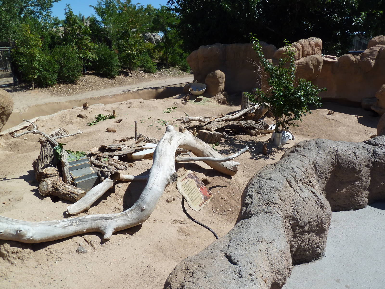 Prairie Dog Exhibit